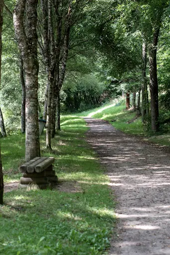 Sen&s - Sophr Eau Natur & Sens - Vanessa Gay Sophrologue Spécialisée Dans la Walking Thérapie - Ecotherapie Proche de Limoges