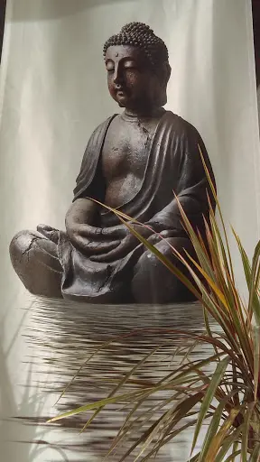 Anaïs Lefevre "les Mots des Maux"