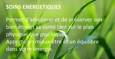 Sophie Tesnière Magnétiseur