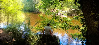 Brocéliande sous Hypnose - Sébastien Chevrier-mahaudeau - Hypnose et Relaxation - Gaël