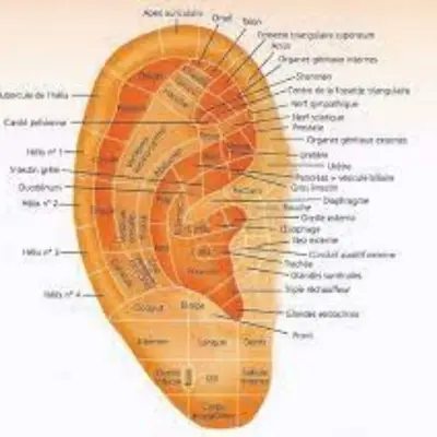 Iridologie
