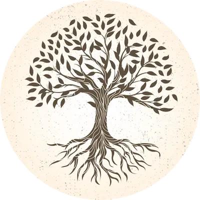 Daphnée Garreau - Hypnose & Bien-être