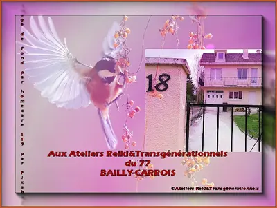 Aux Ateliers Reiki&transgénérationnels77