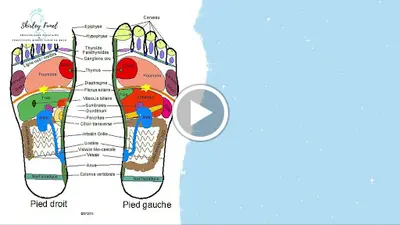 Shirley Funel - Réflexologue Plantaire Titre Rncp, Conseillère Agréée en Fleurs de Bach, Animatrice Yoga du Rire