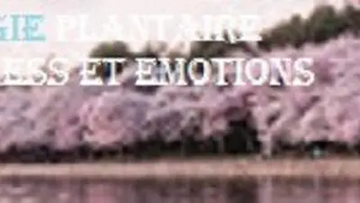 Decailliot Nadine