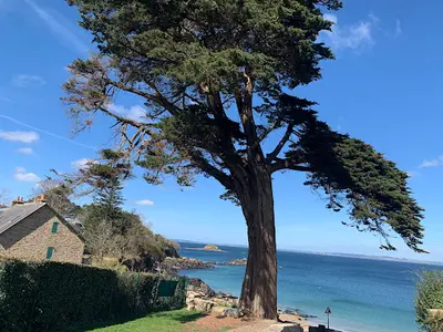 Zen Sardin Réflexologie Plantaire Douarnenez