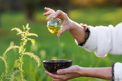 Sandrine Rousseau - Reflexologie - Aromachologie -ayurveda-archives Akashiques