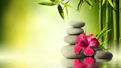Magnétisme - Réflexologue Plantaire - Conseillère en Aromathérapie
