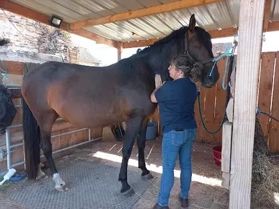 Sandrine Perret Praticienne Reiki Pour les Animaux et les Humains