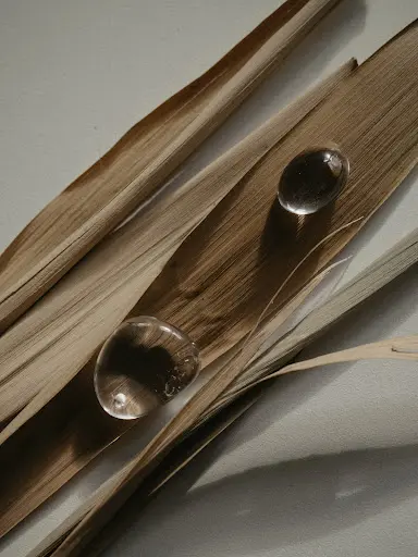 Fh Bien Être