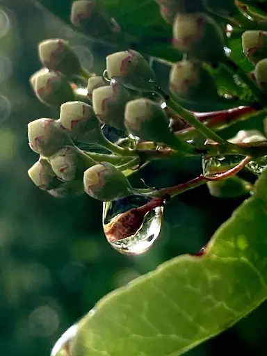 Apres la Pluie Sophrologie