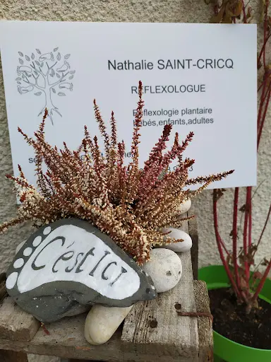Ei Nathalie Saint Cricq Issoire