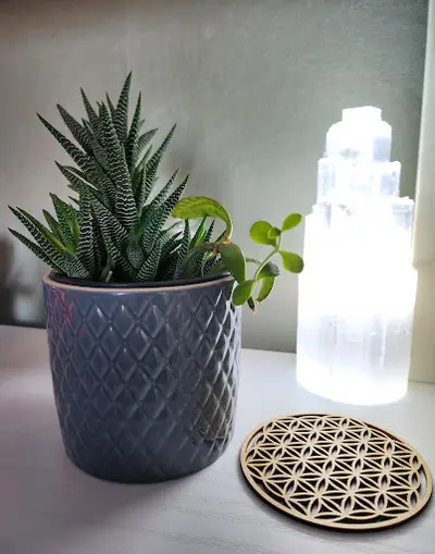 Réflexologie Plantaire "dom Imagin Air"