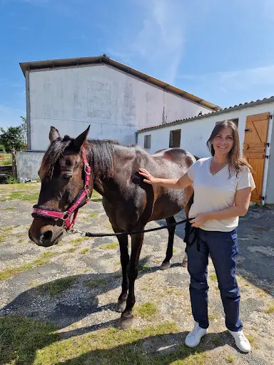 Ingrid Wilmotte – Communication Animale, Deepli & Kinésiologie