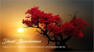 Sophro-énergétique Intégrative