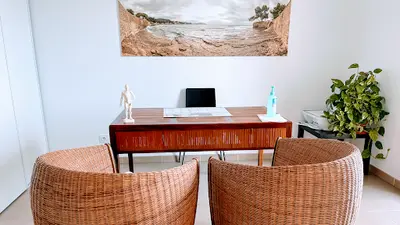 Cabinet Shen