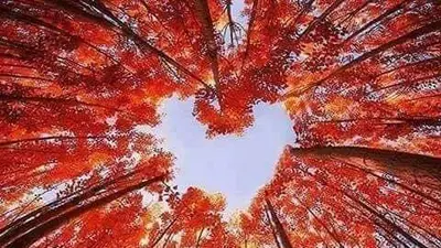 Hypnose- Sophrologie -yoga Asso Sattva Marga Remy Marie Anne