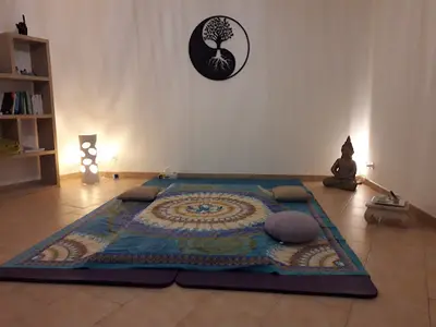 Dr Acupuncture À la Garde - Toulon - Sabine Michaux * Médecine Traditionnelle Chinoise et Vietnamienne * Shiatsu