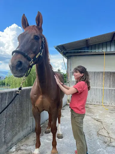 Alexandra Macari Kinésiologue Certifiée Humains et Animaux