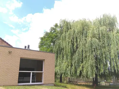 Aymeric Eeckman, Praticien en Énergétique Chinoise et Sophrologie, Lambersart