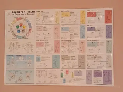 Kinesiologie22