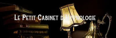 Le Petit Cabinet d'Hypnologie- Cabinet d'Hypnose