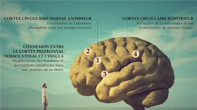 Florence Lévite Hypnose - Emdr-dsa - Spécialisée en Traumatismes et Addictions - Lorient - Baud - Vannes - Auray