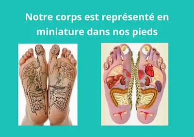 Anne Morizur Réflexologie Plantaire Chinoise