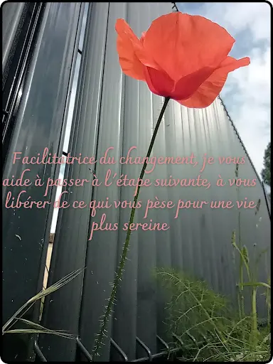 l'Univers de Christine - Magnétiseur le Pellerin