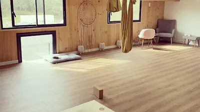 Chloé Truilhé - Harmony Yoga Thérapie - Hypnose, Coaching, Emdr, Shiatsu, Massages, Yoga, Yoga Aérien, Coaching Holistique