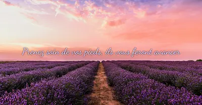 Isabelle Corbin Ei ~reflexologie Plantaire~palmaire~auriculaire