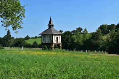 Céline Arsuffi, Sophrologue - Sophrologie et Méditation