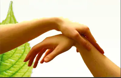 Kinesiologie Emilie Soins Sacrés