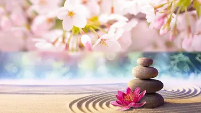 Le Dharma