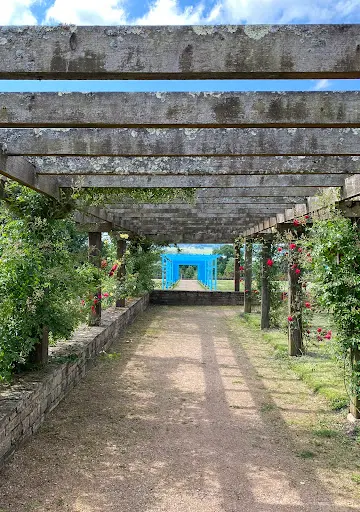 Emdrenaissance