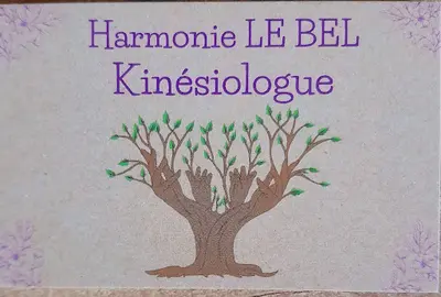 Kinésiologue Harmonie le Bel