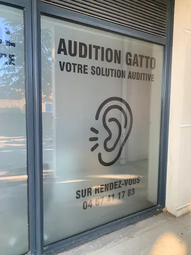 Audition Gatto Marsillargues