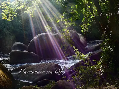 David Guilman - Harmoniser Son Qi