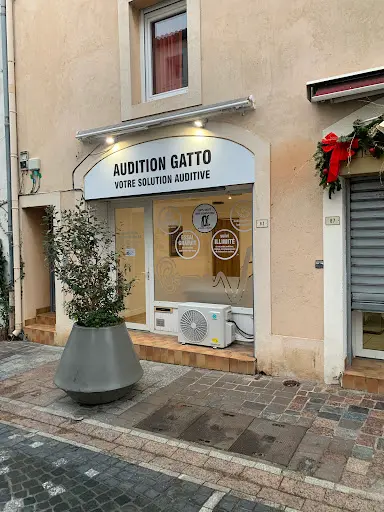 Audition Gatto Mauguio