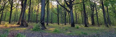 Julie Méline - Cabinet Holistique Dans l'Âme - Hypnose et Magnétisme | Maurepas