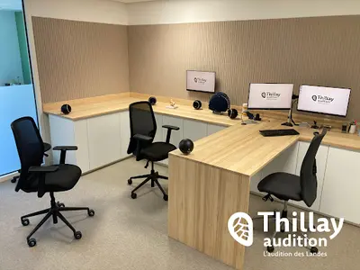 Thillay Audition – Audioprothésiste À Mées (islo)
