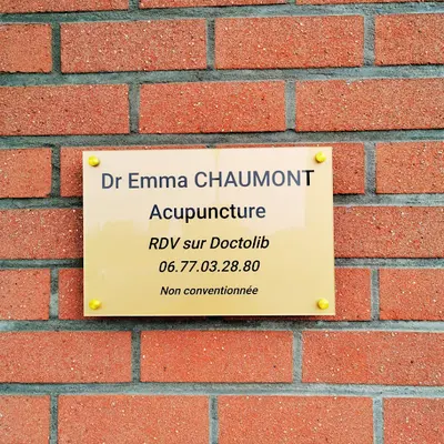 Dr Emma Chaumont - Acupuncture
