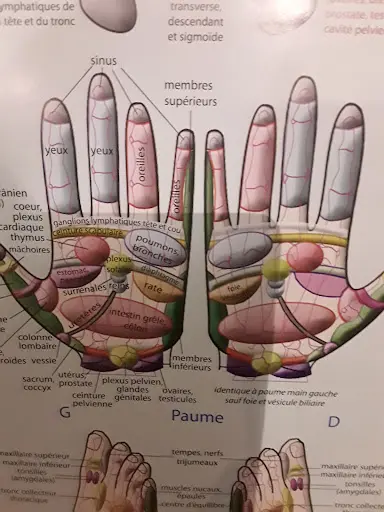 Isabelle Knobloch Reflexologie Plantaire, Palmaire et Cranio Faciale
