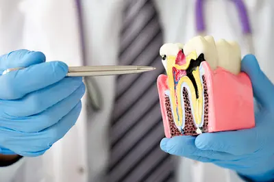 Dr Philippe de Saboulin Bollena - Orthodontiste Meylan