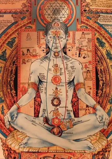 Aumakua Kinesiologie
