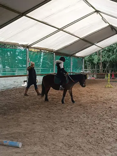 Equithérapie et Médiation Canine 82 - Claire Poinsot
