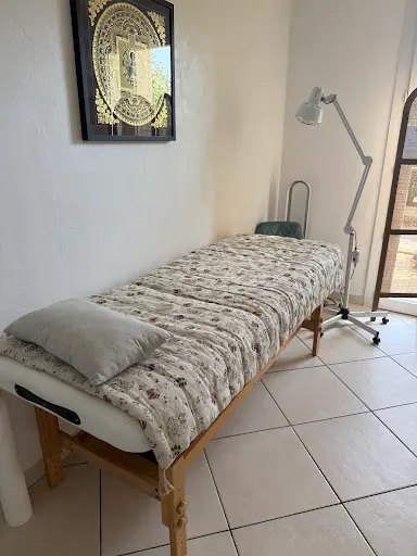 Point Par Point Acupuncture /léa Bort