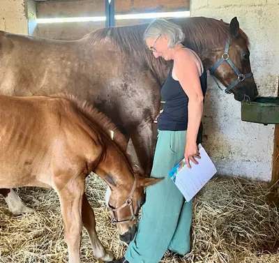 Anne-laure de Murel Kinésiologie Animale