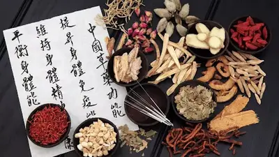 Anne-laure Gournay - Énergétique Chinoise - Hypnose - Pnl/coaching