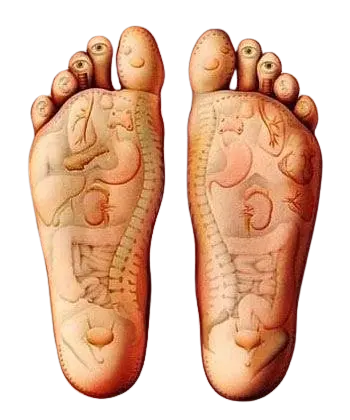 La Vie en Pied-s